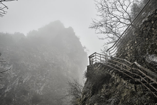 低角度雾天，雾天概念季节图片下载