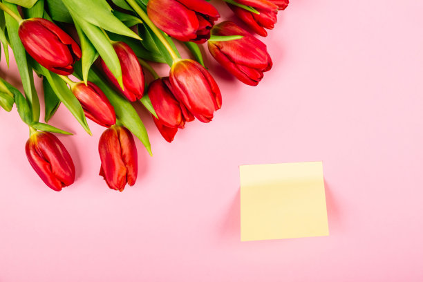 大节日红色郁金香花束和干净的贴纸在一个粉红色的背景与复制空间。经营理念。撕掉纸为笔记，提醒或快速临时消息，组织者的想法和想法图片下载