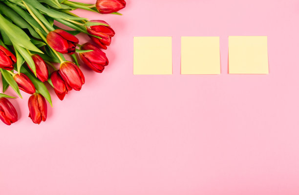 大节日红色郁金香花束和干净的贴纸在一个粉红色的背景与复制空间。经营理念。撕掉纸为笔记，提醒或快速临时消息，组织者的想法和想法图片下载