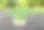 盆栽盆栽蕃茄幼苗。农业的概念。循序渐进种苗。步骤1。图片下载