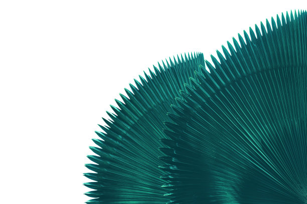 热带棕榈叶孤立在白色背景上图片下载