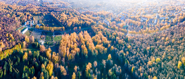 鸟的眼睛。风景如画的公共植物园在秋天阳光明媚的一天，Yoshkar-Ola，俄罗斯，股票照片图片下载