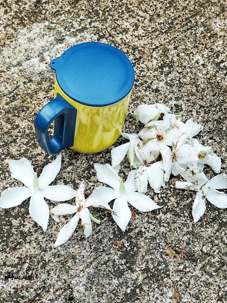一杯带有花卉装饰的咖啡图片下载