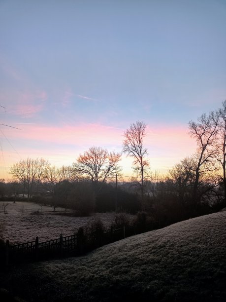 这张照片拍摄的是冬天树木上日出时的蓝色和粉红色的淡色天空图片下载