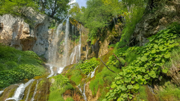 漂亮的绿色的瀑布图片下载