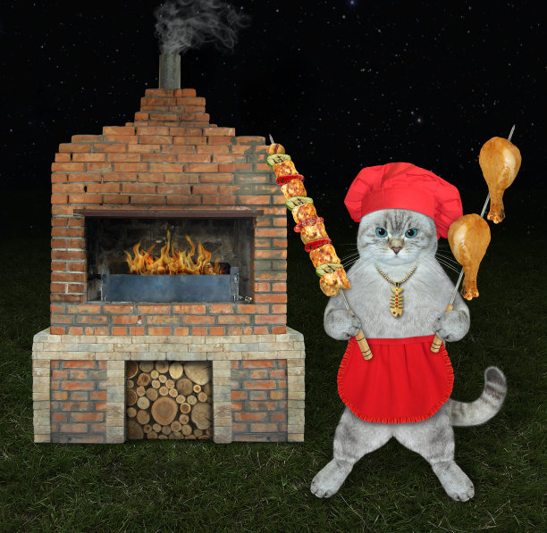 灰色的猫，围着红色的围裙，拿着串着肉的烤肉串图片下载