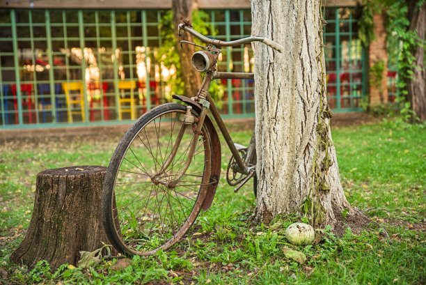 庭院里的老照片和旧自行车停放在树上图片下载