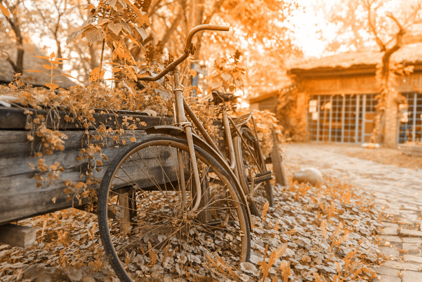 庭院里的复古橘色图片和旧自行车图片下载