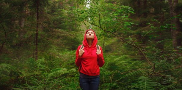 夏季的俄罗斯之旅，列宁格勒地区，科马罗夫村，科马罗夫斯基海岸生态步道图片下载