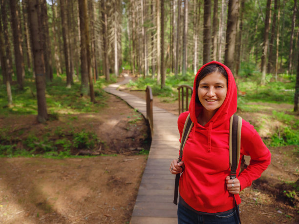 夏季的俄罗斯之旅，列宁格勒地区，科马罗夫村，科马罗夫斯基海岸生态步道图片下载