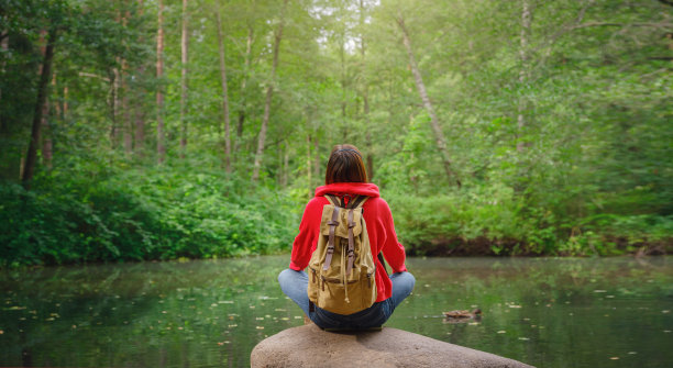 夏季的俄罗斯之旅，列宁格勒地区，科马罗夫村，科马罗夫斯基海岸生态步道图片下载
