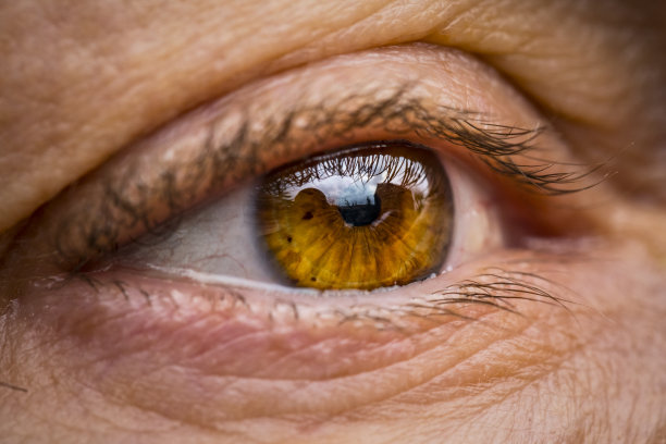 极端特写的棕色眼睛图片下载