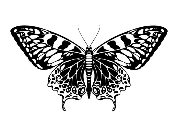 蝴蝶剪影图片下载