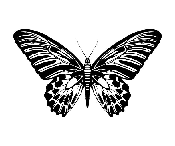 蝴蝶剪影图片下载