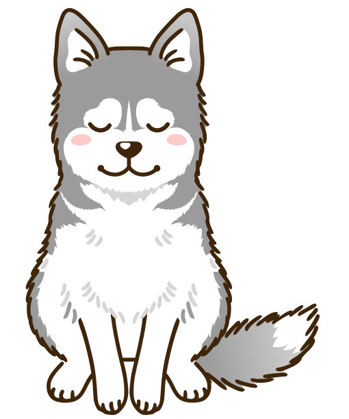 西伯利亚哈士奇问候(银色和白色)图片下载