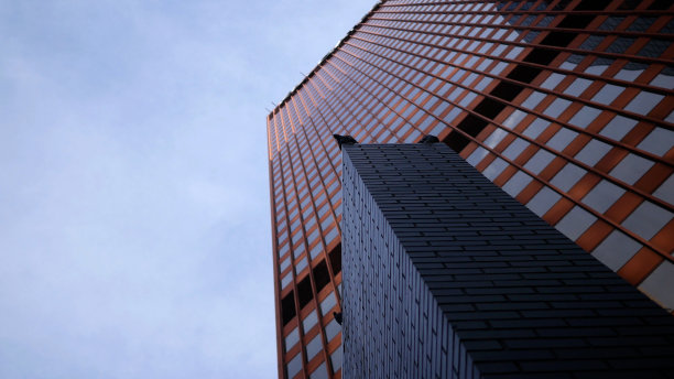 栖息在红色摩天大楼下的鸟儿图片下载