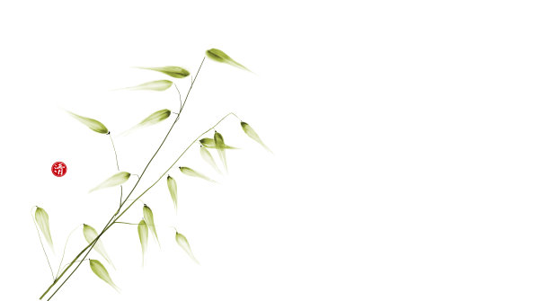 绿色的野生草地草在白色的背景。传统日本水墨画的极简主义风格。象形文字,清晰。图片下载