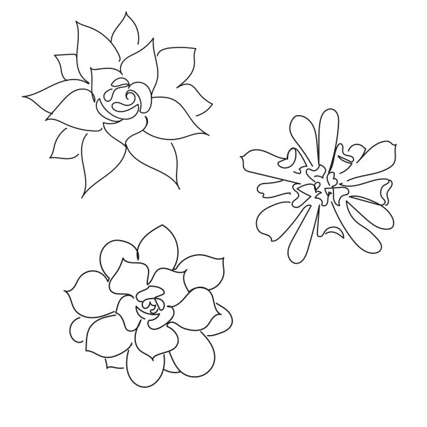 多汁，克拉苏，埃切维里亚，哈西亚图片下载