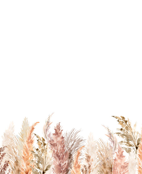 水彩潘帕斯草插图图片下载