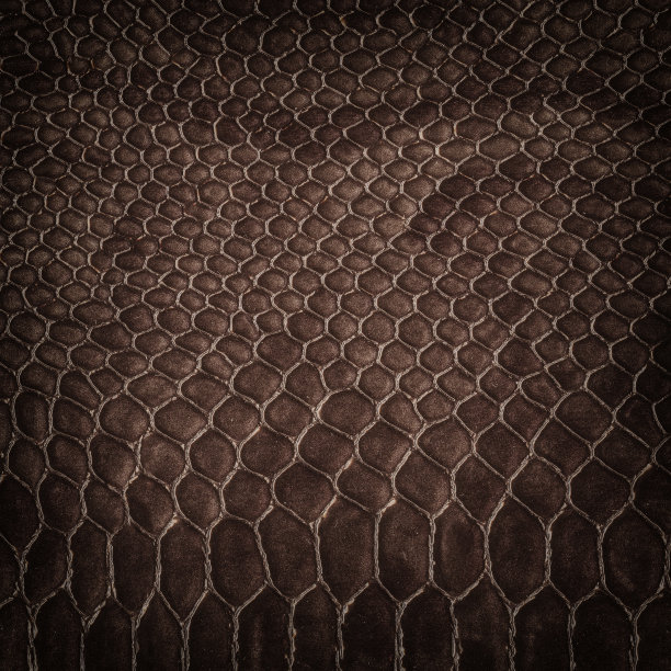 鳄鱼皮皮革底色图片下载