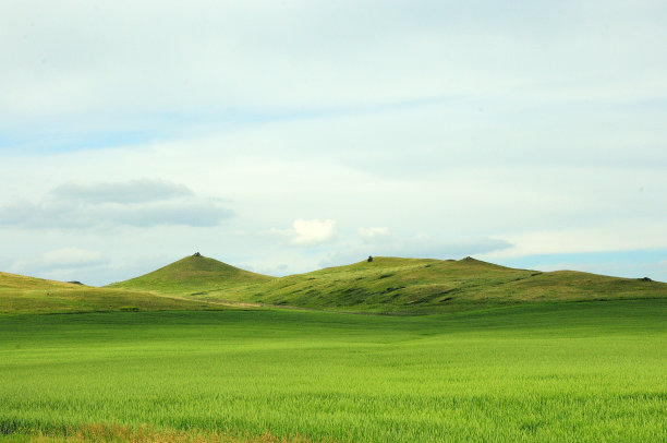 在一个阳光明媚的夏日，一望无际的草原边缘的一排高山丘长满了草。图片下载