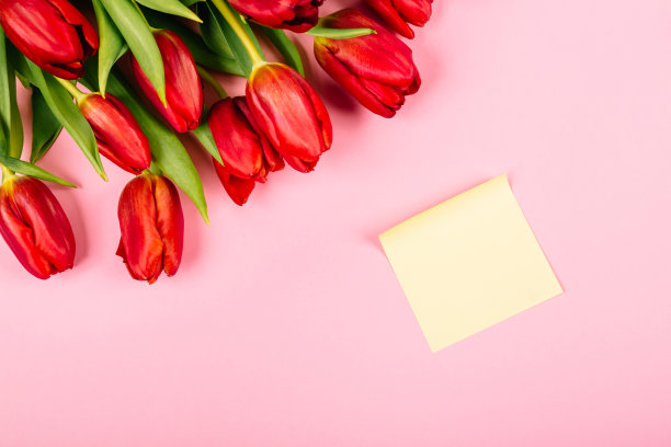 大节日红色郁金香花束和干净的贴纸在一个粉红色的背景与复制空间。经营理念。撕掉纸为笔记，提醒或快速临时消息，组织者的想法和想法图片下载