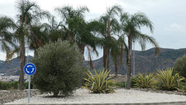 安达卢西亚工业园区外围的环形回旋处图片下载