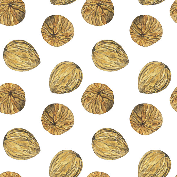 水彩核桃籽无缝图案在白色背景。手绘插图。坚果质地，适用于食品壁纸、纺织品。图片下载