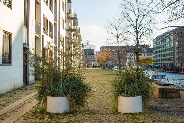 街道在现代化的地区图片下载