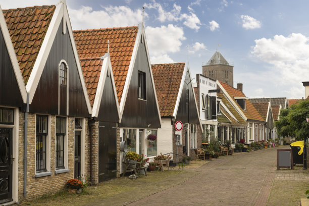 Texel岛的Oosterend中心的一条小街。图片下载
