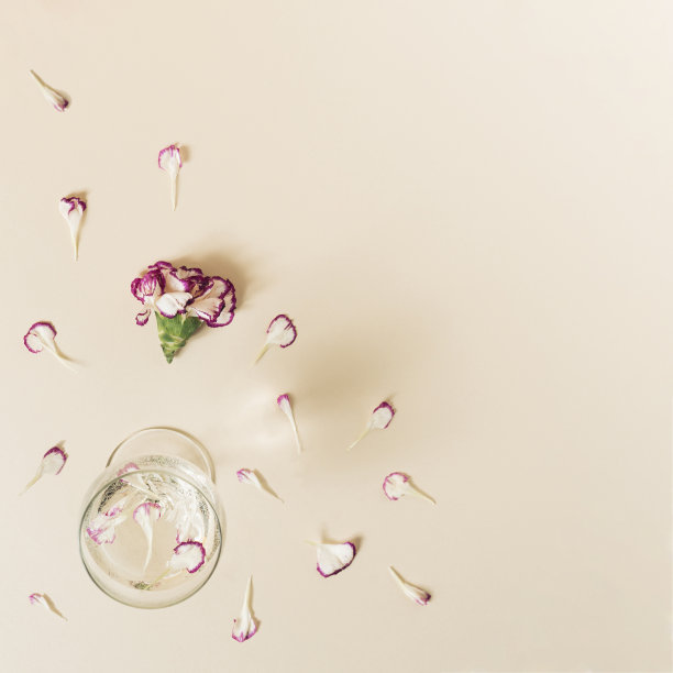 花瓣和玻璃藤蔓在柔和的米色背景。平铺与复制空间。浪漫的概念。图片下载