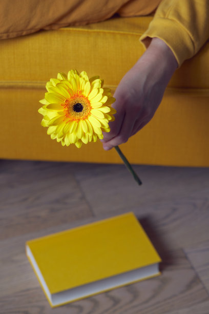 一个女人手里拿着一把扶手椅和一本书，背景是一朵黄色的非洲菊。图片下载