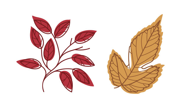 秋叶多彩，叶脉分明图片下载