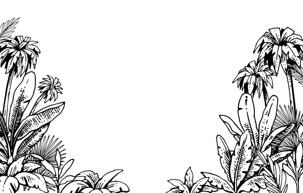 热带草丛和植物丛。手掌在两侧的框架。手绘轮廓。外来植物简图。夏天的风景。孤立的白色背景。向量图片下载