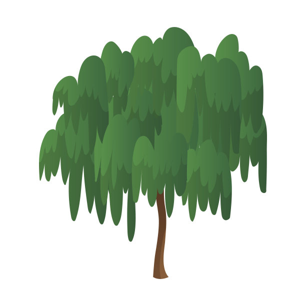 现实的绿色柳树孤立在白色背景-向量图片下载