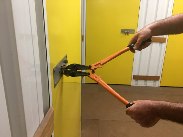 窃贼手闯入自助仓库图片下载