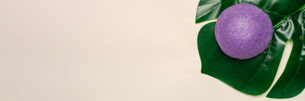 天然，有机和魔芋海绵在热带树叶图片下载