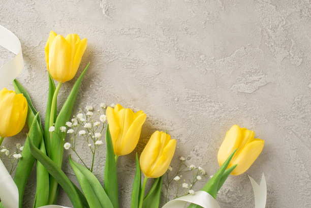俯视图照片的妇女的一天组成花束黄色郁金香，白色的gypsophila和白色丝带在孤立的纹理灰色混凝土背景与copyspace图片下载
