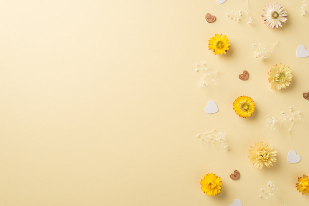 俯视图照片的女人的一天组成黄色和白色的野花棕色和白色心与copyspace孤立的米色背景图片下载