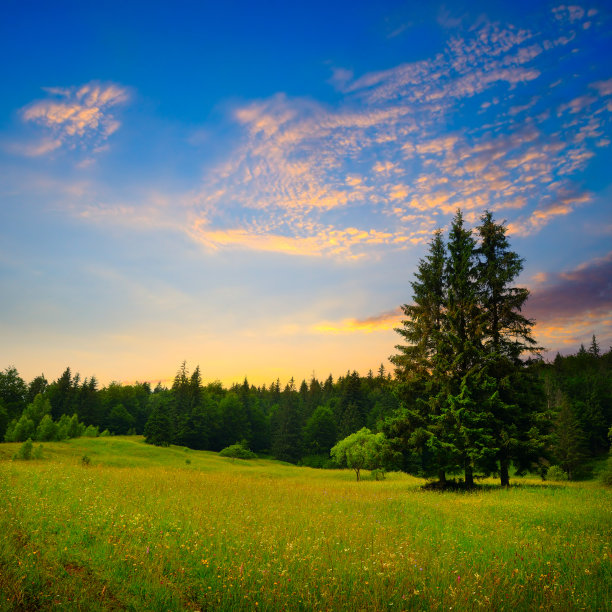 喀尔巴阡山脉壮丽的日出。图片下载