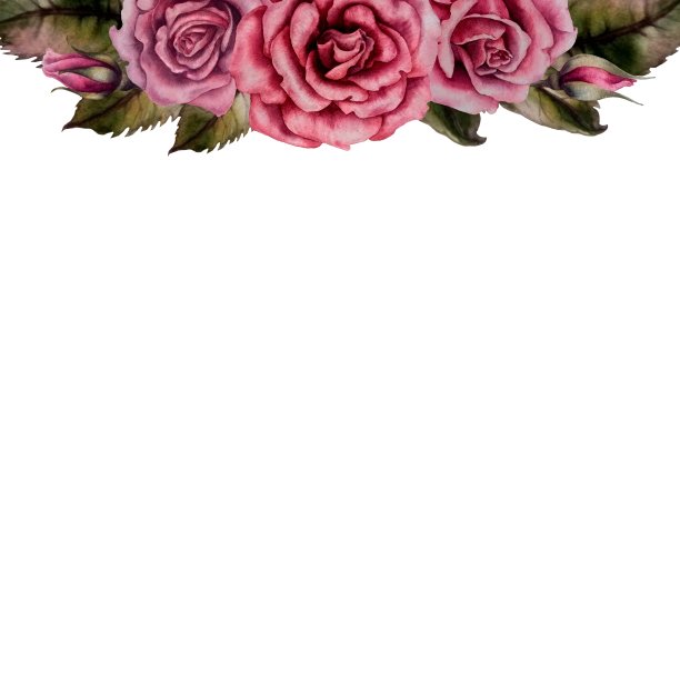 水彩粉红色玫瑰边图片下载
