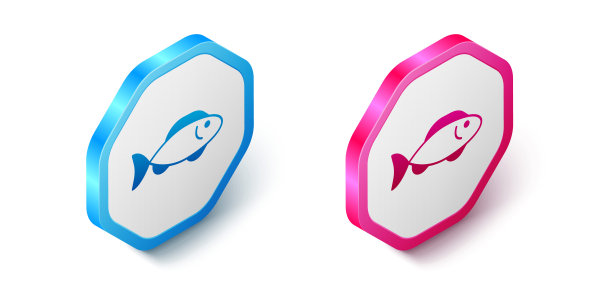 在白色背景上孤立的等距鱼图标。六角按钮。向量图片下载