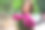 美丽的年轻女子带着一束仙子。图片下载