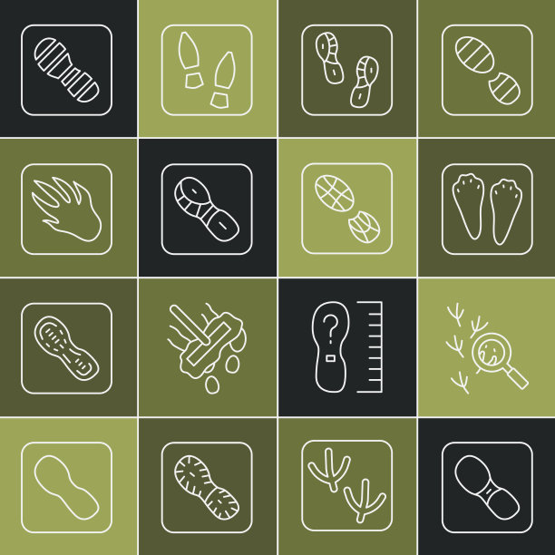 设线人脚印鞋鸟兔和图片下载