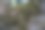 结构树图片下载