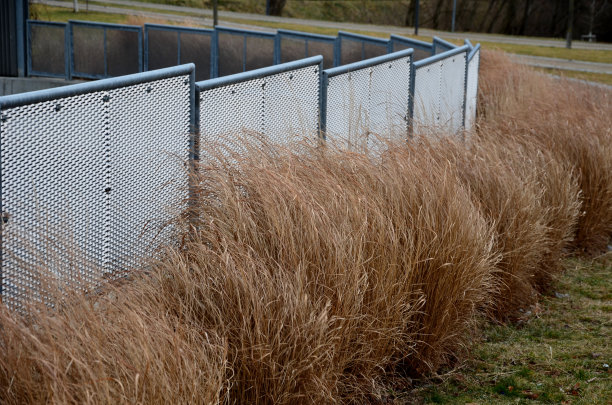 多孔金属板金属栅栏。非常耐用的栏杆由镀锌栏杆框架制成。带状的观赏草给空间一种工业的感觉。像研磨器一样半透明的图片下载