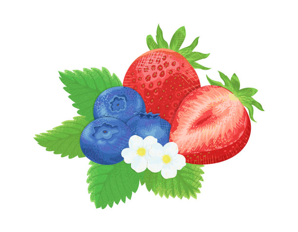 草莓和蓝莓花和叶子的剪贴画图片下载