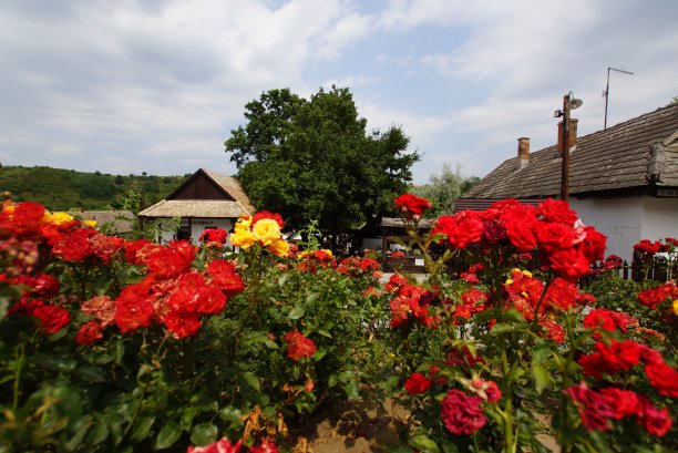 匈牙利的Holloko村图片下载
