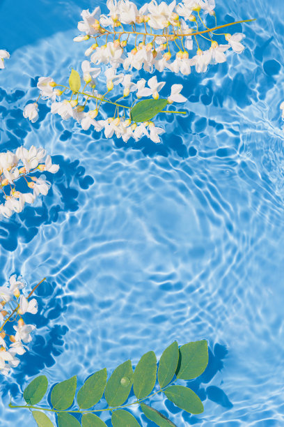 白色的金合欢花在湛蓝透明的水中。有阳光和阴影的夏日构图。自然的概念。前视图。有选择性的重点图片下载