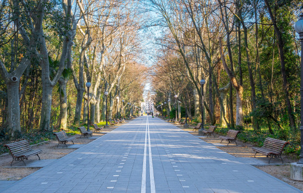 Príncipe路穿过西班牙巴利亚多利德市的格兰德公园图片下载